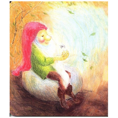 Romarin le lutin, livre enfant cartonné illustré des editions iona