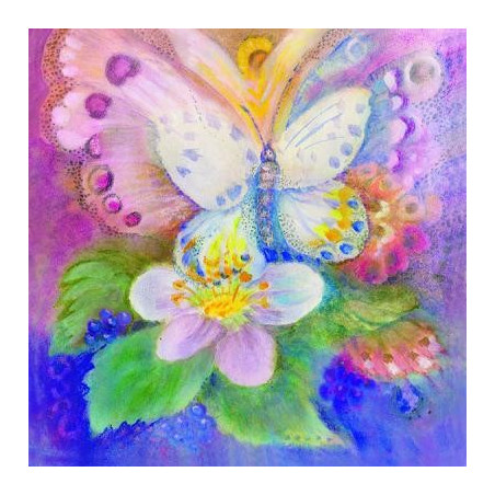 La metamorphose du papillon, livre illustré rebecca terniak Lyre d'alizé